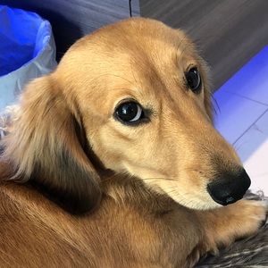 Meet your Posher, Sun